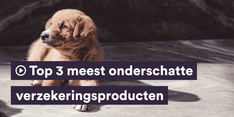 Expert Talk: Top 3 meest onderschatte verzekeringsproducten